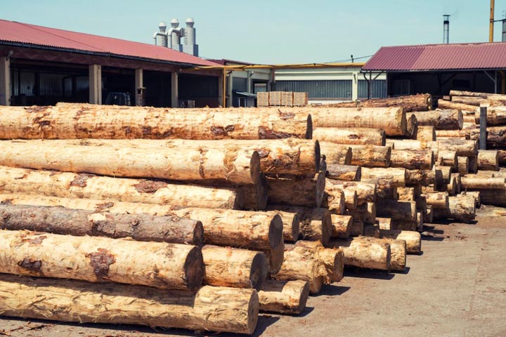 Бизнесмен обвиняется в контрабанде леса на сумму свыше 35 млн рублей 